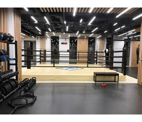 Ринг боксерский Targex на помосте 0,3 м 700х700х30