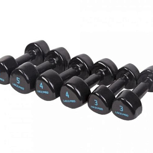 Купить Livepro Гантельный ряд 1-10 кг LP8070 в Москве