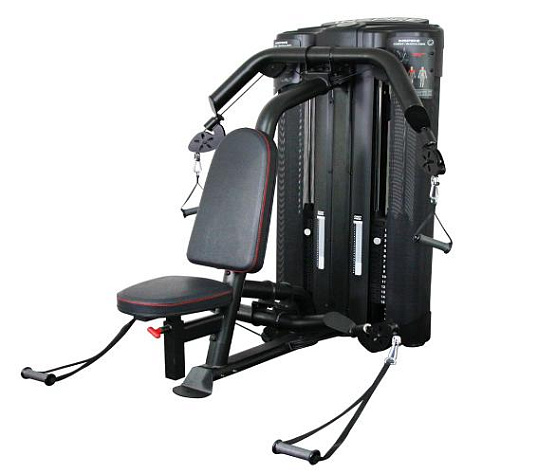 Грудь и плечи Inspire DMCS фото4