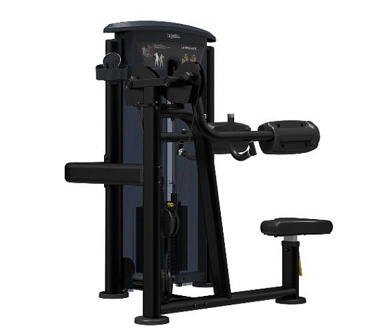 Грузоблочный тренажер на верхнюю часть тела Aerofit Impulse IT9524 Дельтовидные