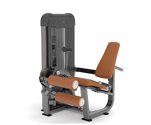 Купить Сгибание/разгибание ног сидя Anyfit PS04-123 в Москве