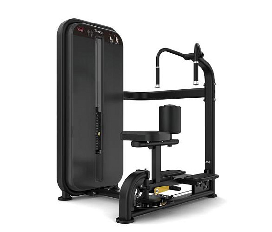 Торс-машина Vision Fitness