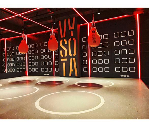 Функциональная панель Targex TRAINING WALL (зацеп, размер L, крепеж в комплекте)