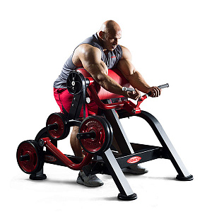 Купить Нагружаемый дисками тренажер Panatta FreeWeight Special 1FW351 Бицепс в Москве