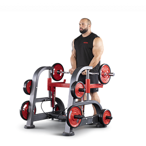 Купить Нагружаемый дисками тренажер Panatta FreeWeight Special 1FW509 в Москве