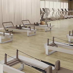 Купить Реформер для пилатеса Technogym Reform в Москве