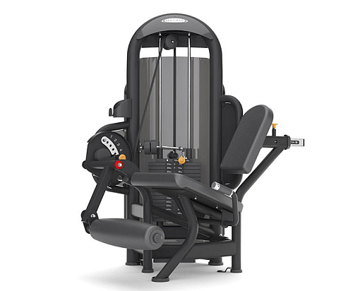 Купить Разгибание ног Matrix Fitness Aura G3-S71_7 в Москве