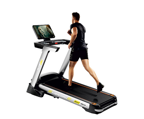 Беговая дорожка Ultra Gym ALM 1520