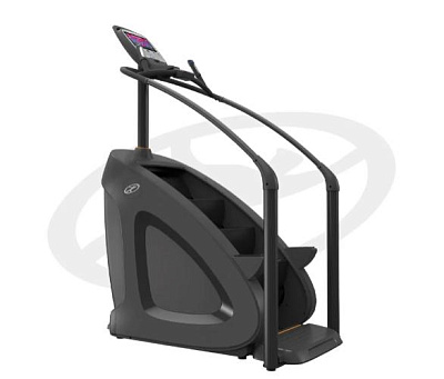 Лестница Oxide Fitness C3S (Climber)