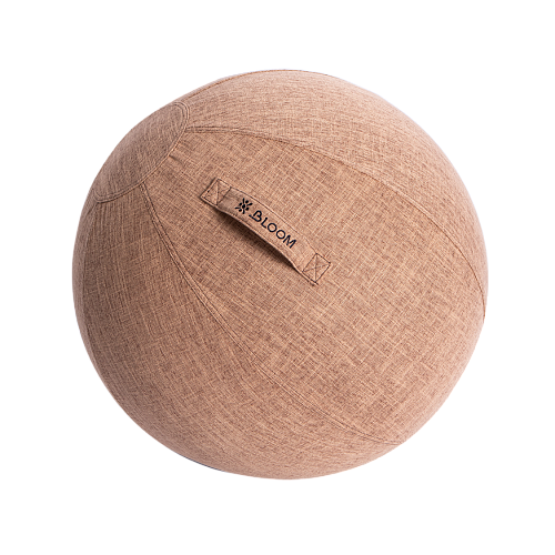 Купить Чехол для мяча Bloom LB7129/BN 65 см в Москве