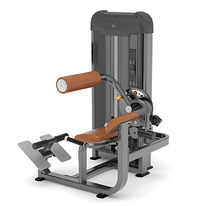 Купить Силовой тренажер Anyfit Спина/пресс PS06-84 в Москве