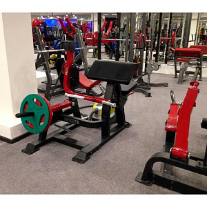Купить Нагружаемый дисками тренажер Aerofit Impulse SL7023 Бицепс сидя в Москве