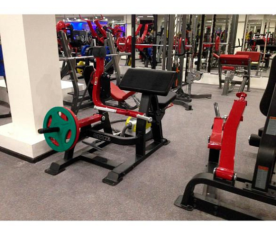 Бицепс сидя Aerofit Impulse SL7023 фото1