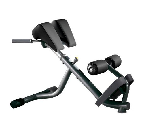 Купить Гиперэкстензия Technogym Lower Back Bench в Москве