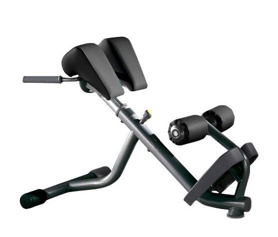Гиперэкстензия Technogym Lower Back Bench