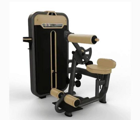 Разгибание спины Fiton BM-010A