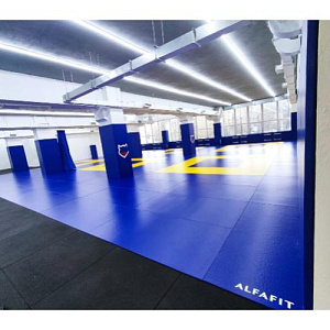 Купить Targex Татами серия PVC  в Москве