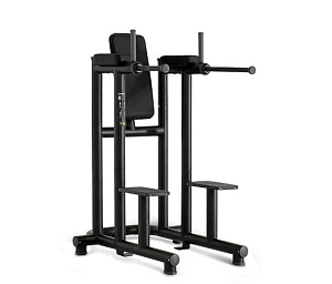 Technogym Leg Raise Dip