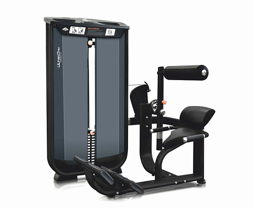 Купить Разгибание спины Ultra Gym UG-CL503 в Москве