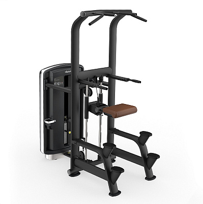 Гравитрон (Подтягивание/Отжимание) INTENZA DL-12