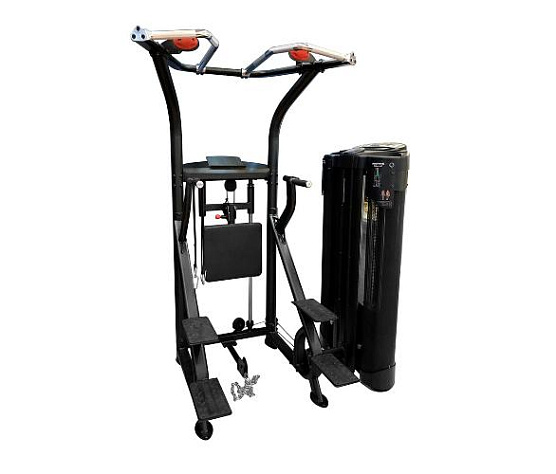 Подтягивания и отжимания с противовесом Inspire DMCD