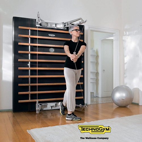 Многофункциональный комплекс Technogym Kinesis Heritage Black