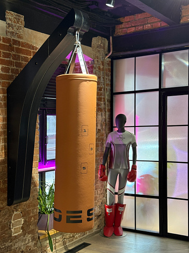 Боксерский мешок капсульный Desire Box Punch