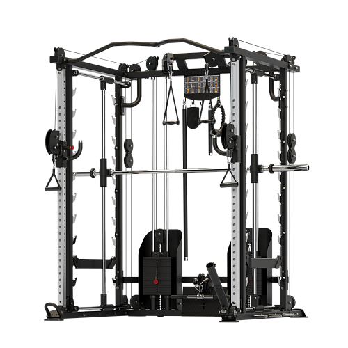 Многофункциональная станция DAP Smith Fitness Excellence C9 MaxiTrain Купить Многофункциональная станция DAP Smith Fitness Excellence C9 MaxiTrain в Москве