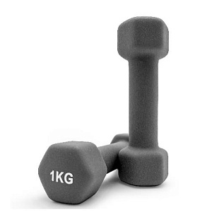 Купить Unix Fit Гантель неопреновая 1 кг / шт. Grey в Москве