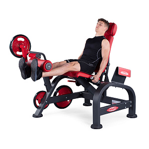 Купить Нагружаемый дисками тренажер Panatta FreeWeight Special 1FW181 в Москве