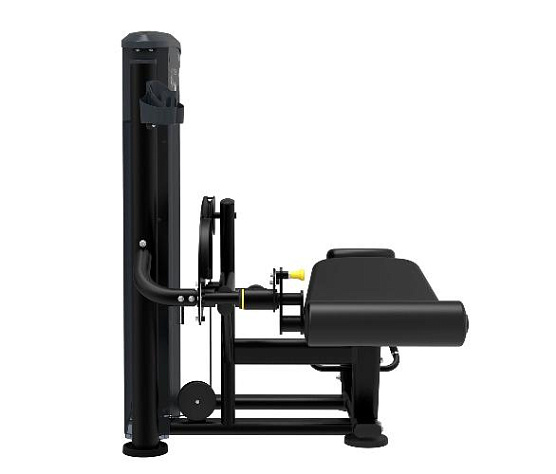 Сгибание ног лежа Aerofit Impulse IT9521 фото2