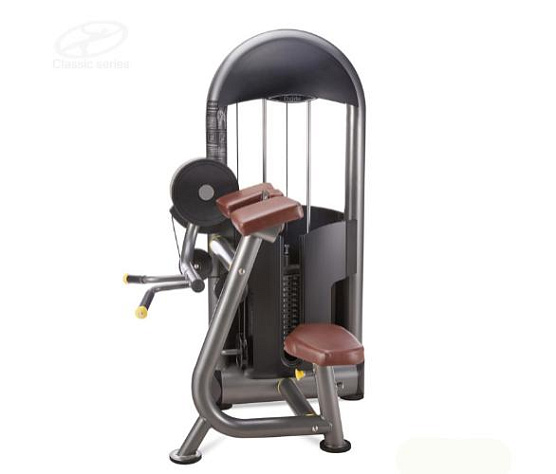 Бицепс-машина Oxide Fitness C006