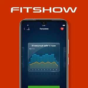 Купить Беговая дорожка Titanium Physiotech TJF в Москве