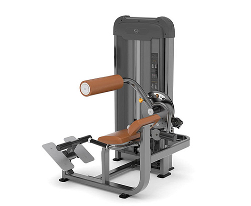 Купить Спина/пресс Anyfit PS06-84 в Москве