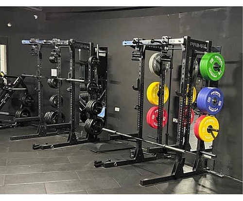 Силовая полустойка Primal V3.0 PSPR0014