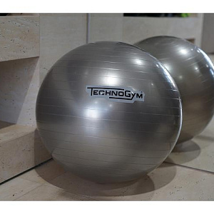 Купить Technogym Мяч Wellness  в Москве