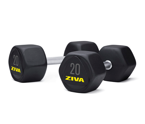 Купить Гантель обрезиненная Ziva 42 кг (пара) в Москве