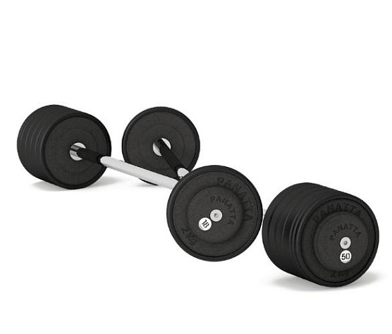 Штанга Panatta 1PBB12 12 кг