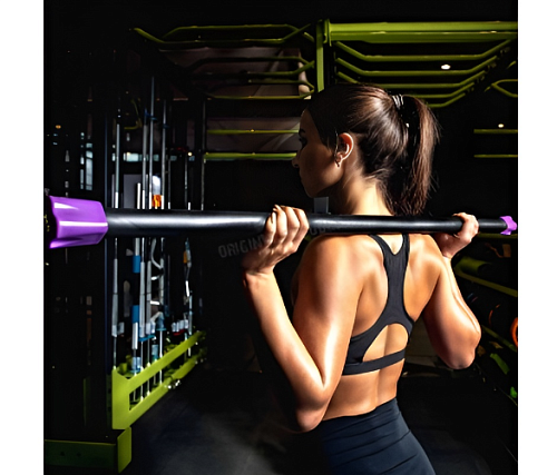 Бодибар Original FitTools PROFI-FIT 4 кг