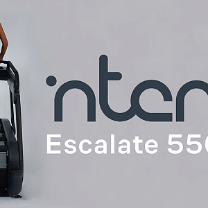 Купить Лестница Intenza 550 Ce2+ в Москве