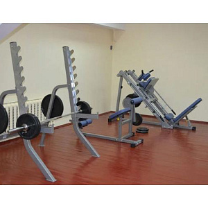 Купить Нагружаемый дисками тренажер Aerofit Impulse IFABM Тренажер для спины и пресса в Москве