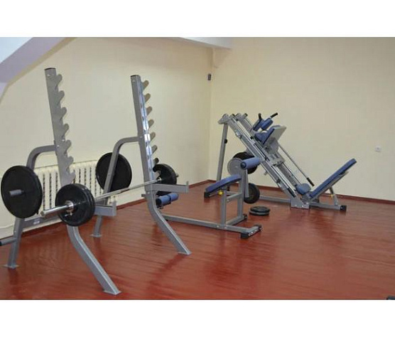 Тренажер для спины и пресса Aerofit Impulse IFABM (нагружаемый дисками) фото1