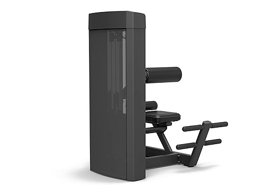 Разгибание спины Spirit Fitness SP-4310 фото1