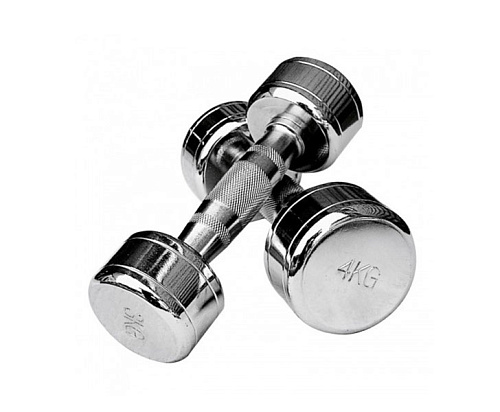 Купить Набор гантелей хромированных Rockit 1–10 кг (110 кг, 10 пар) в Москве