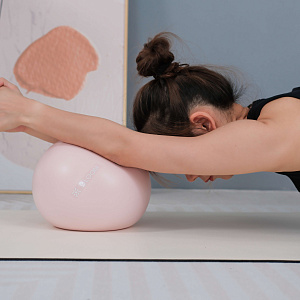 Купить Мяч для пилатеса Bloom LB7002/20/PK 20 см розовый в Москве