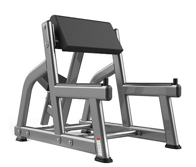 Скамья Скотта Realleader FW-1004