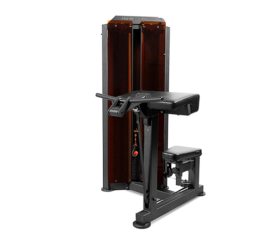 Бицепс-машина Bronze Gym PARTNER ML-803 профессиональный