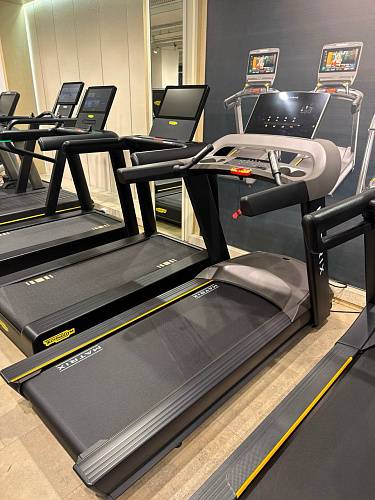 Беговая дорожка Matrix Fitness T600X-02 с LED-консолью (витринный образец)