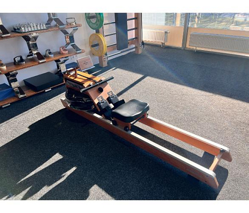 Гребной тренажер Desire Dual Power профессиональный