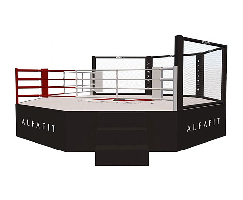 Купить Октагон-трансформер AlfaFit на помосте высотой 1 м в Москве